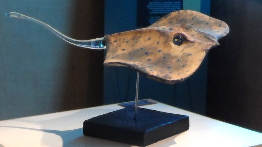 Yvon Lecomte - raie - Le Patiau